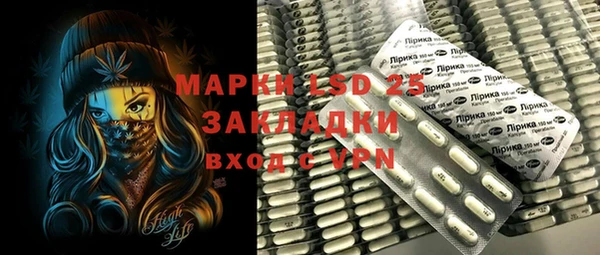 прущие грибы Абаза
