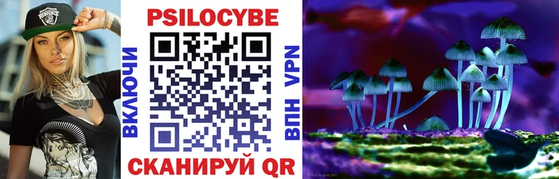 МЕГА tor  Мещовск  Псилоцибиновые грибы мухоморы  наркошоп 